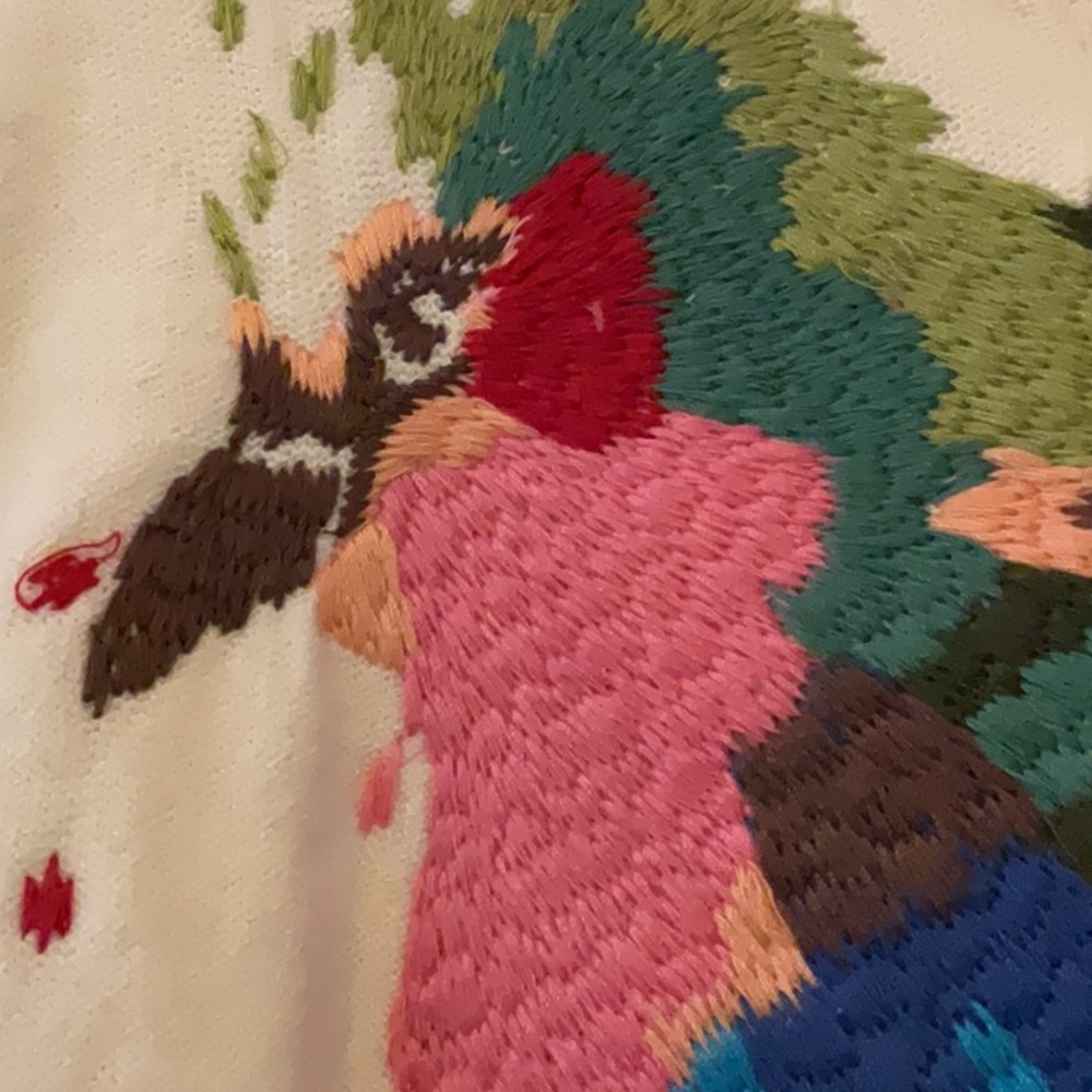 Sleeping on Snow Anthropologie Embroidered Sweater.